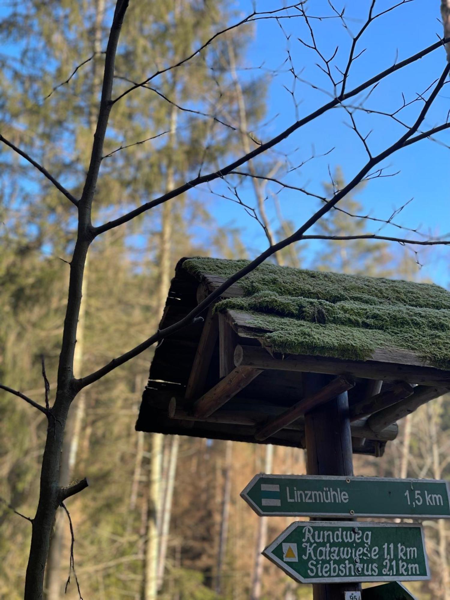 Waldhotel Linzmuehle Kahla  Zewnętrze zdjęcie
