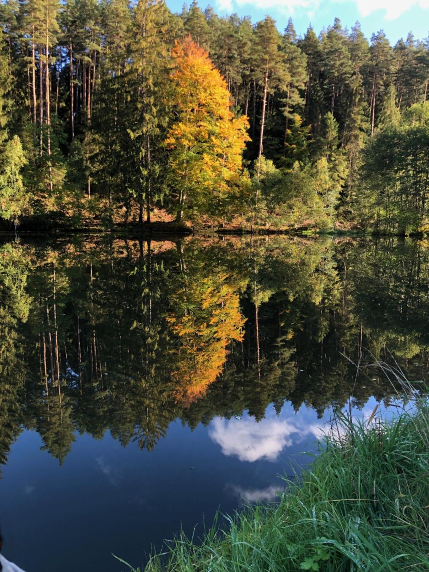 Waldhotel Linzmuehle Kahla  Zewnętrze zdjęcie